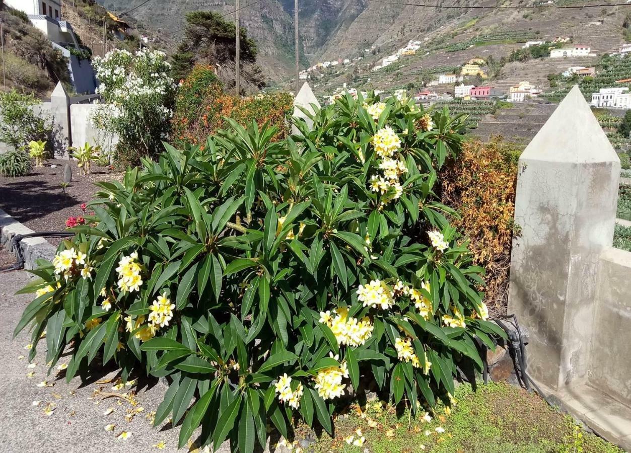 הרמיגואה Gomera Garden. Vista Mar Altozano מראה חיצוני תמונה